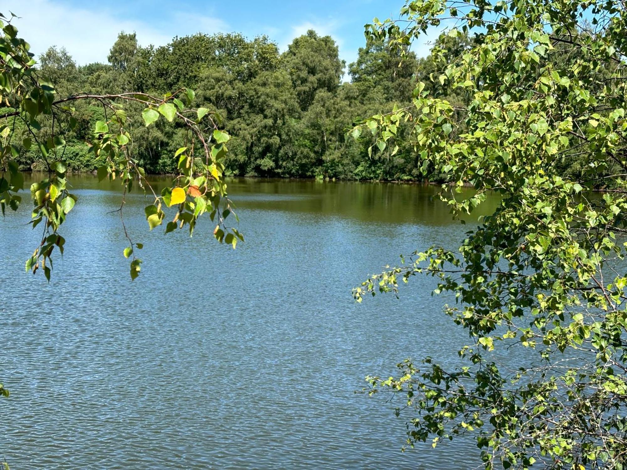 The Annexe At Gomo Βίλα East Winch Εξωτερικό φωτογραφία